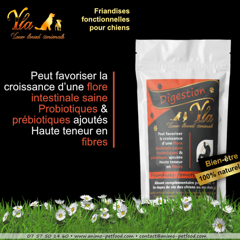 friandises chiens pour soutenir la santé digestive